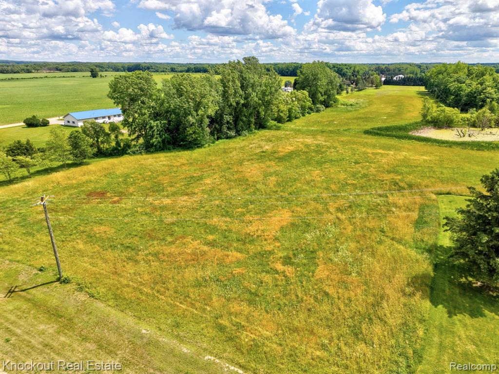 4500 Birch Run Road Millington, MI 48746 - Photo 6 of 21
