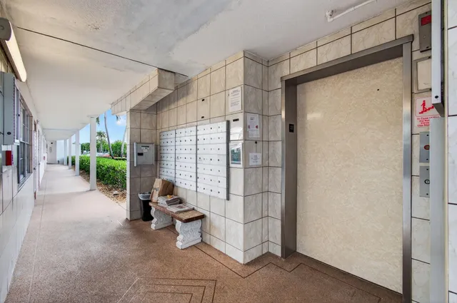 a view of a garden with a slide and potted plants
