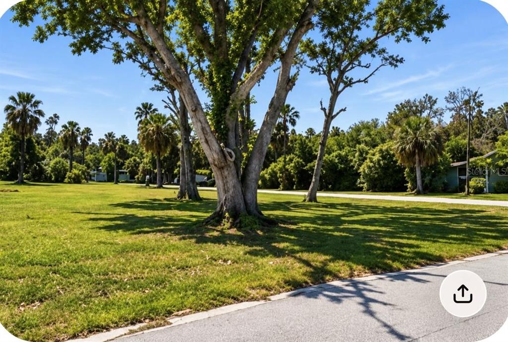 7653 Pier Road Port Richey, FL 34668 - Photo 2 of 3 Gallery Image 2