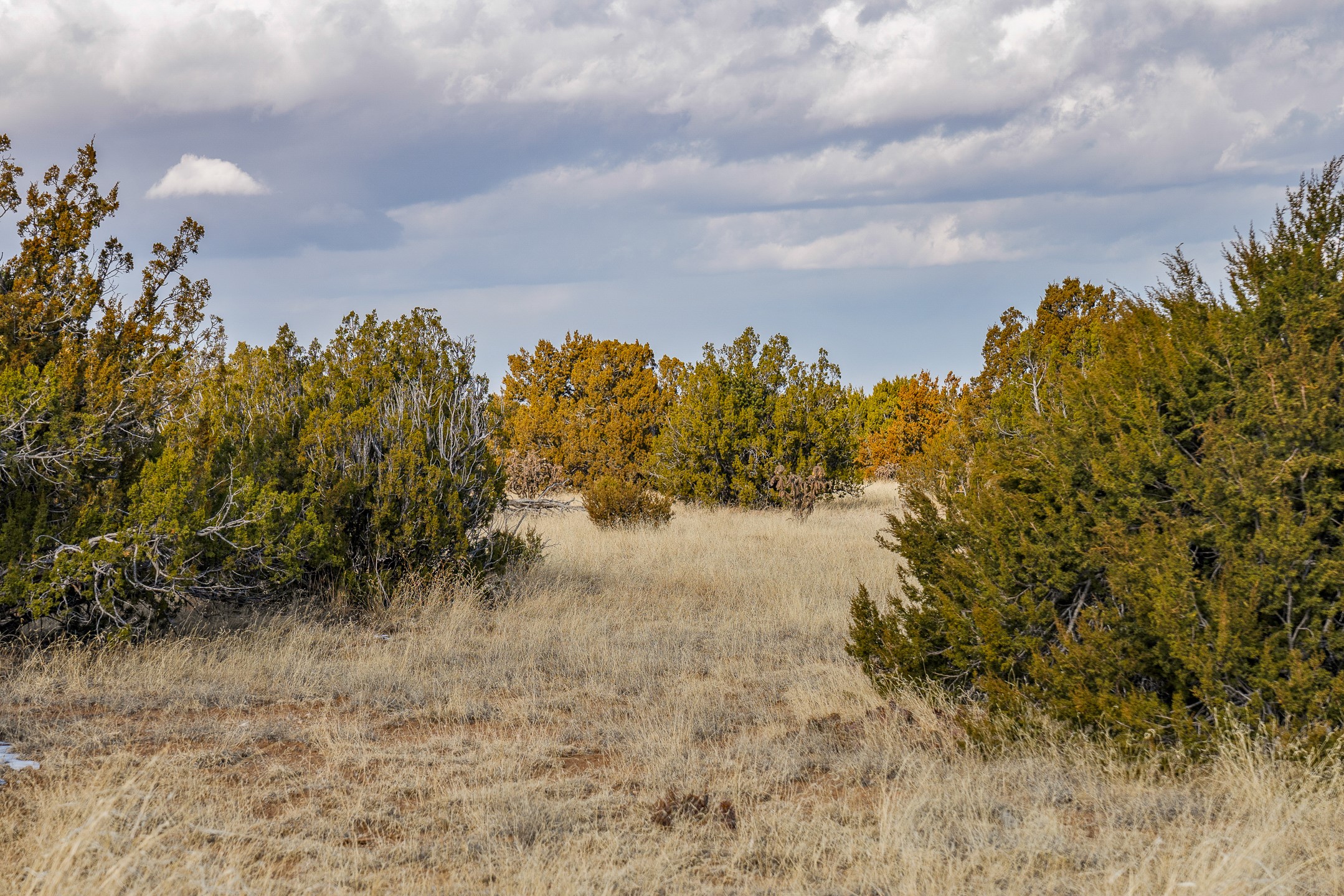 156 Wagon Trail Road Cerrillos, NM 87010 - Photo 12 of 24
