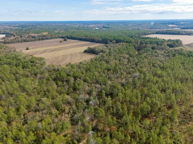 an aerial view of beach and residential houses with outdoor space