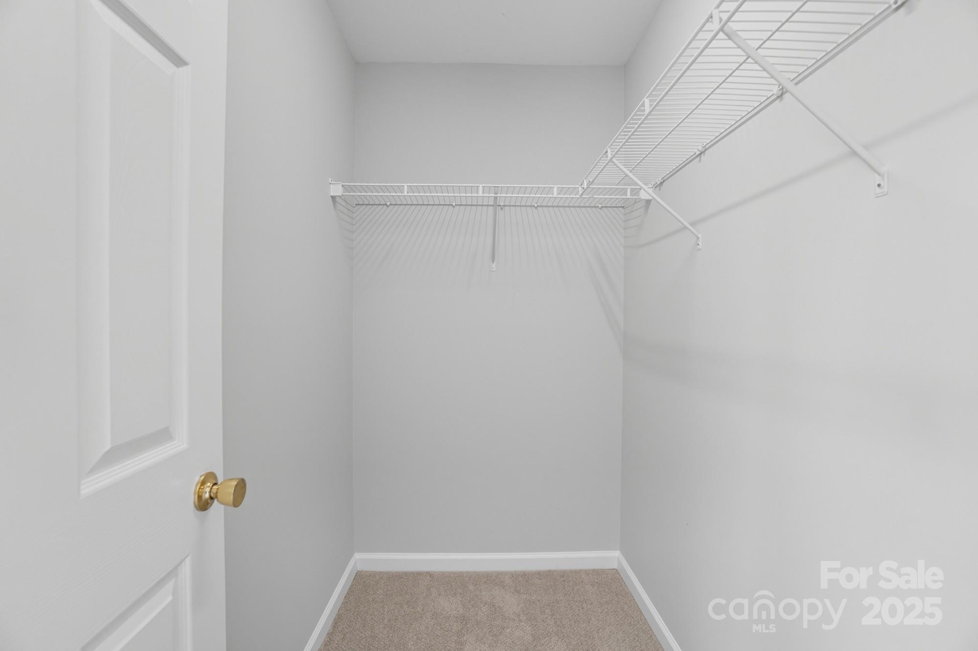 507 Poseidon Way Fort Mill, SC 29708 - Photo 8 of 19 a view of walk in closet with empty racks