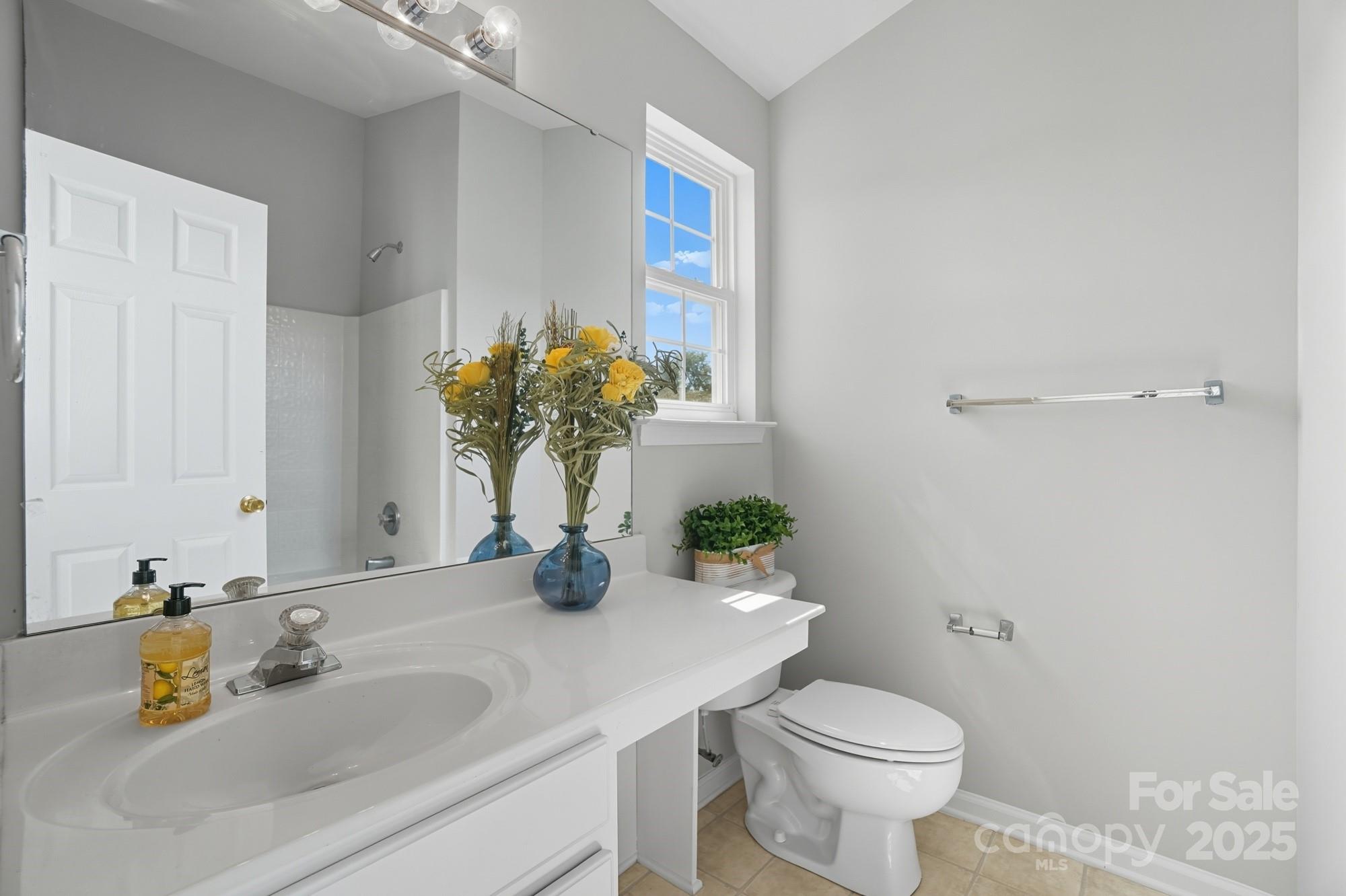 507 Poseidon Way Fort Mill, SC 29708 - Photo 9 of 19 a bathroom with a sink toilet and a mirror
