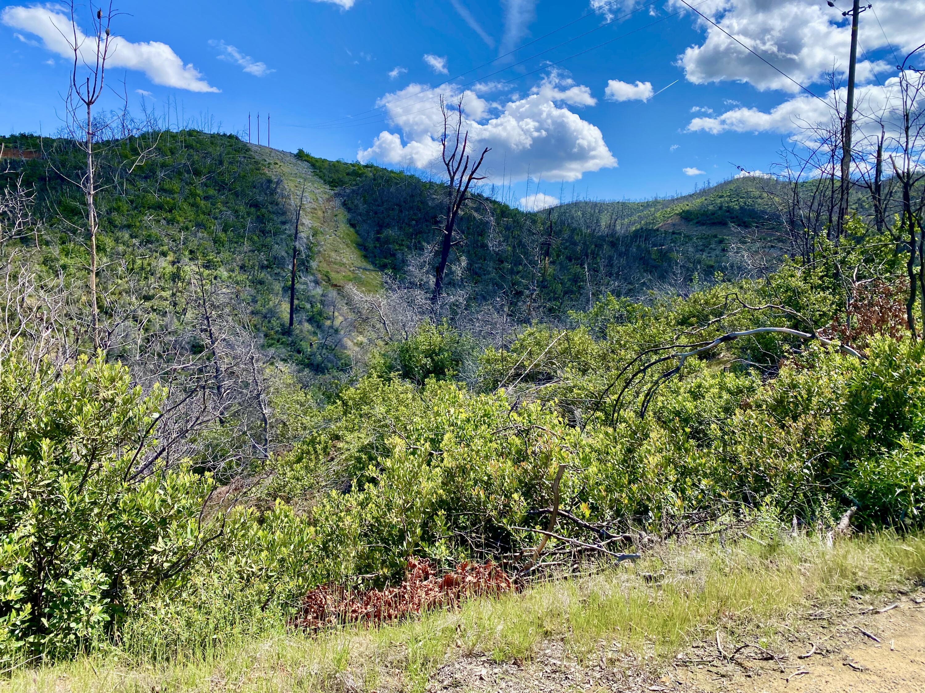Muletown Road Redding, CA 96001 - Photo 2 of 6 a view of a house with a yard
