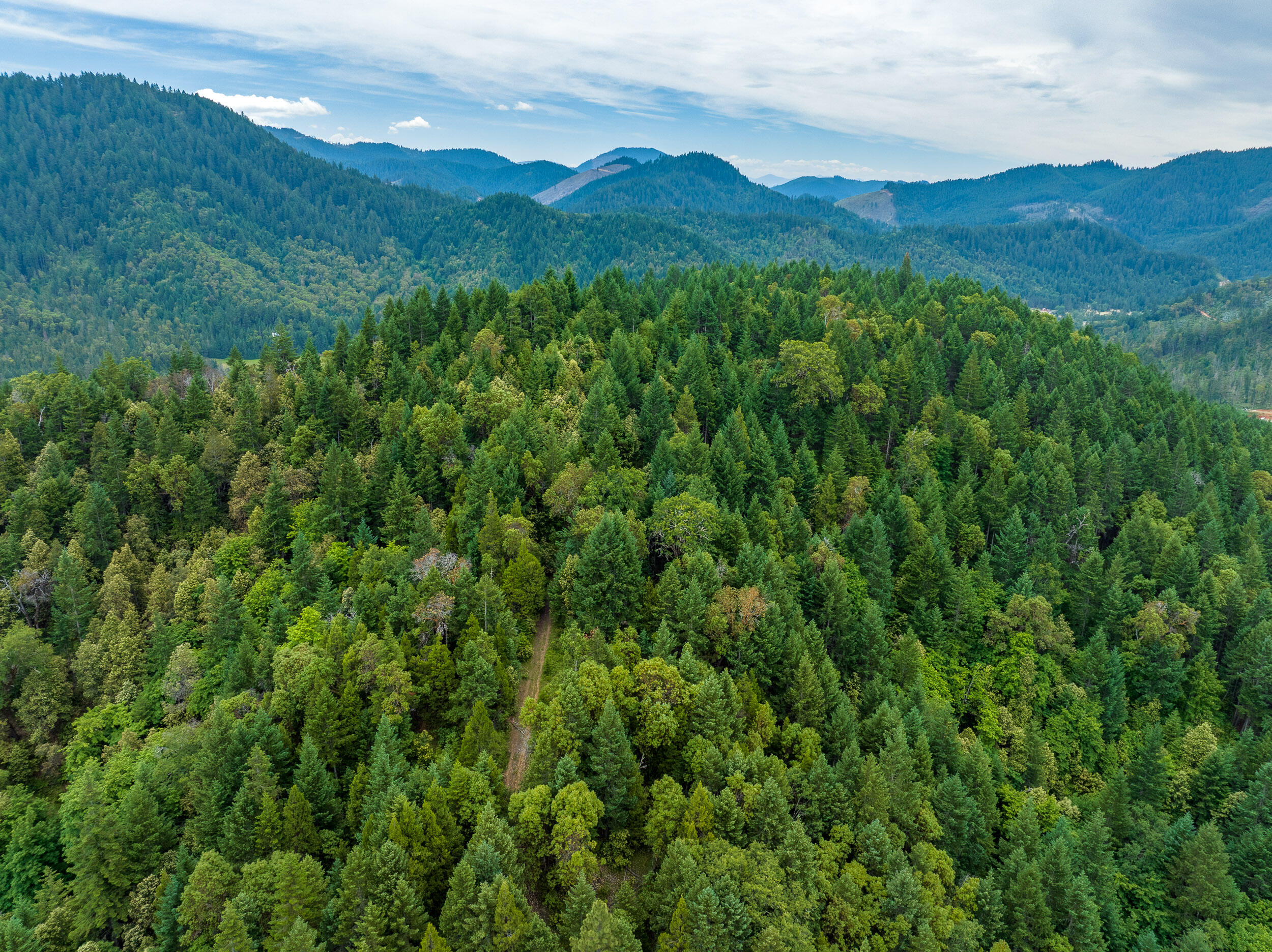 1251 Warner Road Wolf Creek, OR 97497 - Photo 9 of 17 1251WarnerRd-009