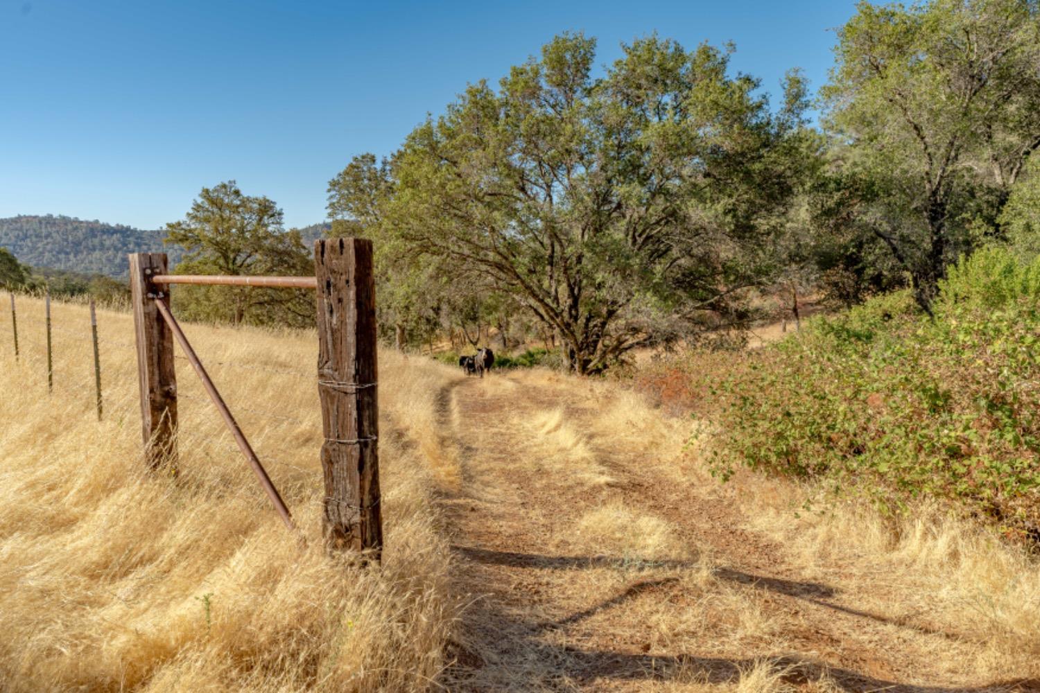27044 McCourtney Road Grass Valley, CA 95949 - Photo 25 of 74