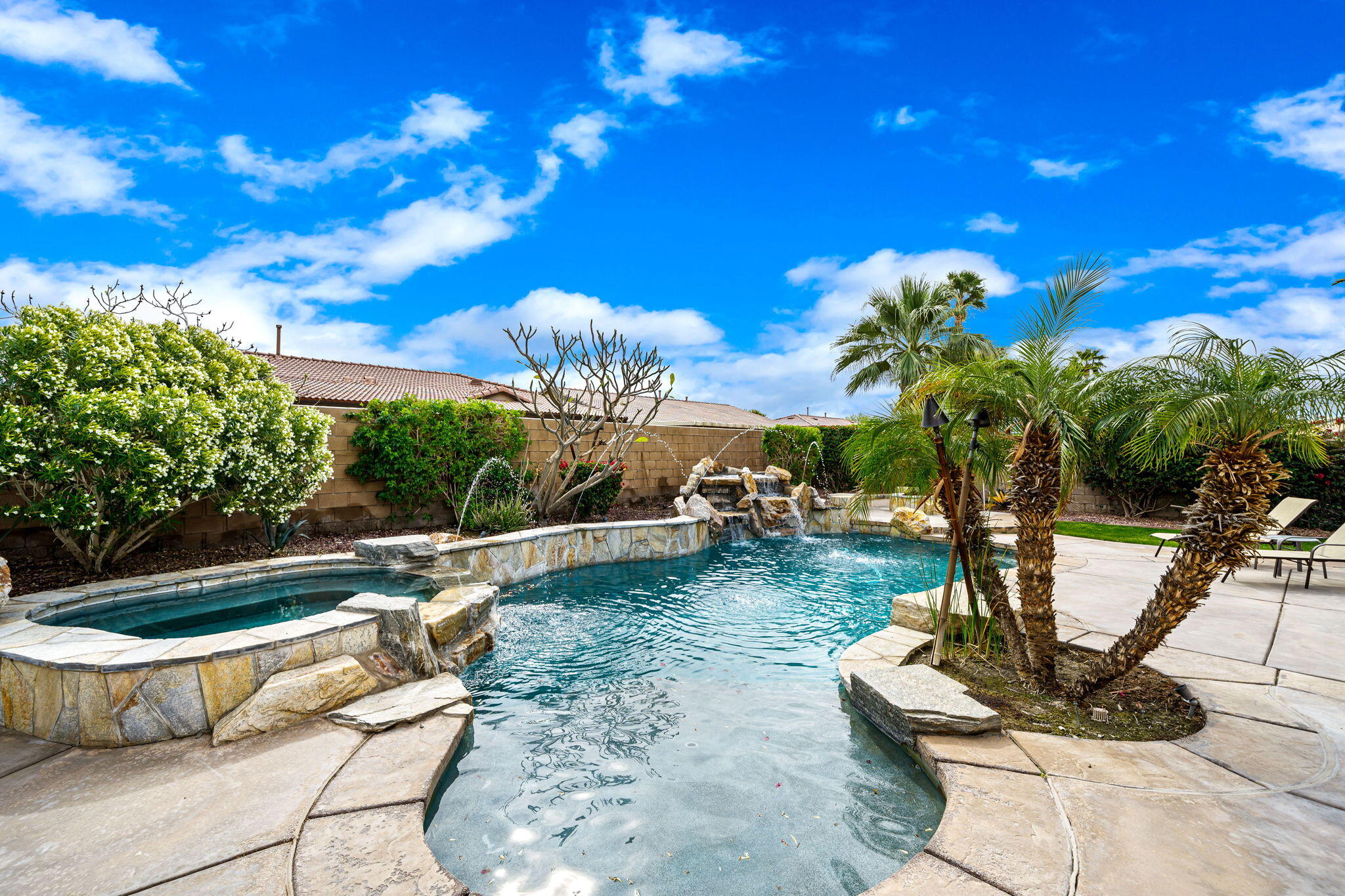41222 Mackenzie Lane Indio, CA 92203 - Photo 22 of 27 a view of a backyard with plants and swimming pool