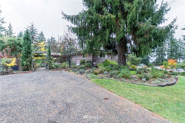 a view of a garden with plants and large trees