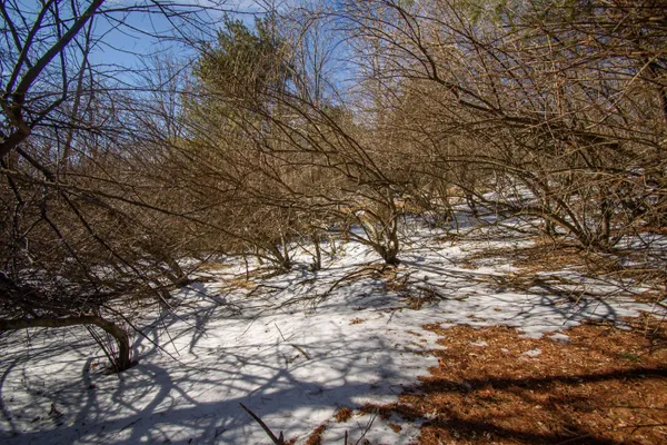 $132,000 | Tbd Tbd Christiansburg Pike Northeast, Floyd, VA 24091