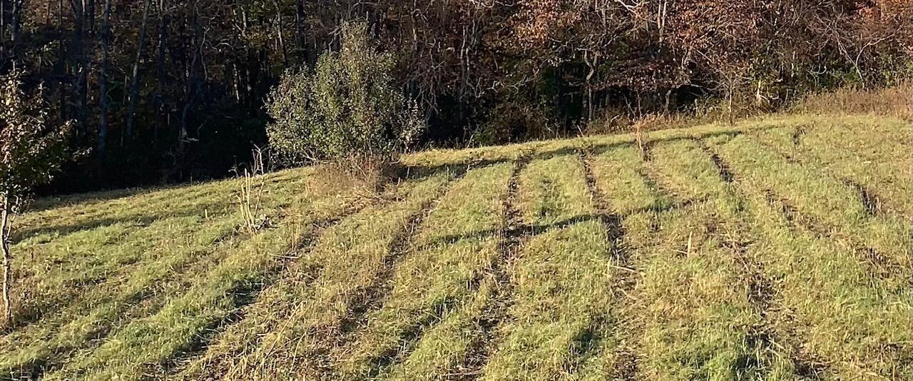 7096 Pleasantview Road Southeast Bremen, OH 43107 - Photo 20 of 30 IMG_7837