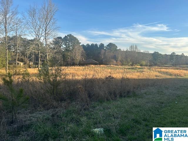 1845 Brookside Road Mount Olive, AL 35117 - Photo 2 of 4 Gallery Image 2