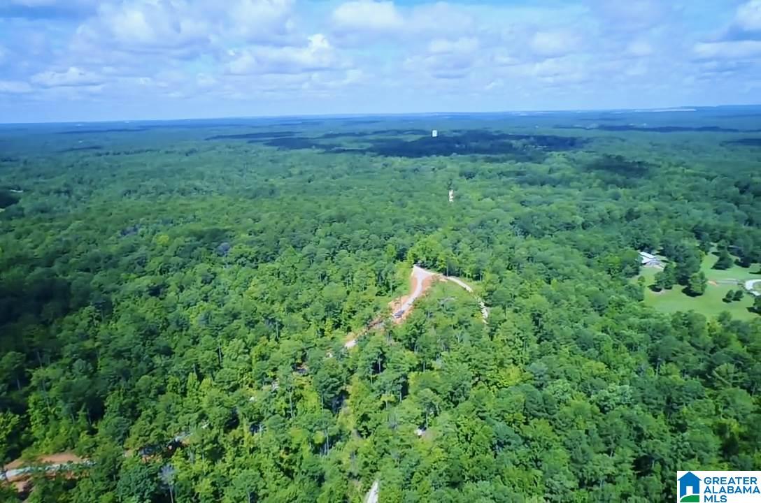 0 Brown Road Calera, AL 35040 - Photo 1 of 18