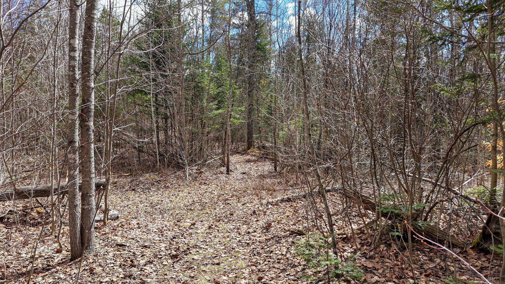 429 Hole In The Wall Road Solon, ME 04979 - Photo 31 of 34 Perfectly Spacious & Private