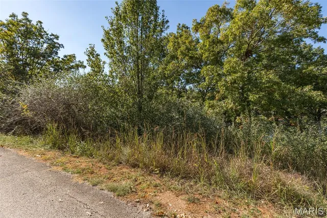 $125,000 | 0 Lots 11 & 12 Normandie Drive, Bonne Terre, MO 63628
