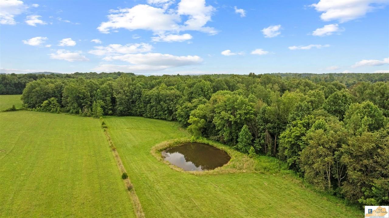 3003 Iron Mountain Road Center, KY 42214 - Photo 14 of 91 Gallery Image 14
