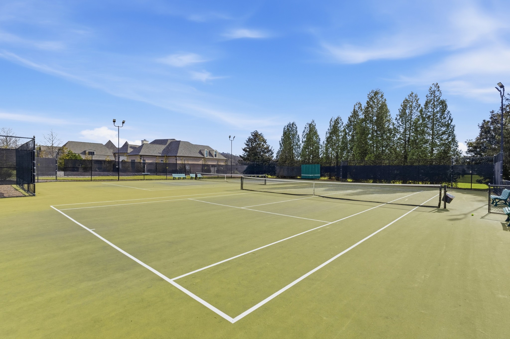 201 Lake Ridge Court Franklin, TN 37069 - Photo 55 of 59 a view of a tennis court