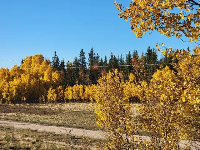 $40,000 | 287 Mustang Trail, Como, CO 80432