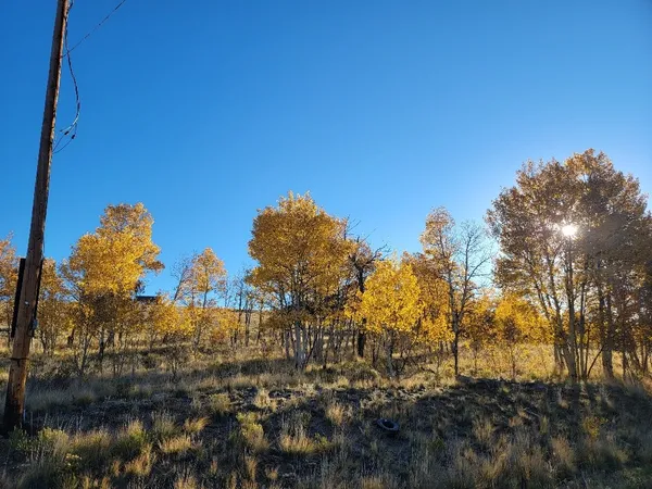 $40,000 | 287 Mustang Trail, Como, CO 80432