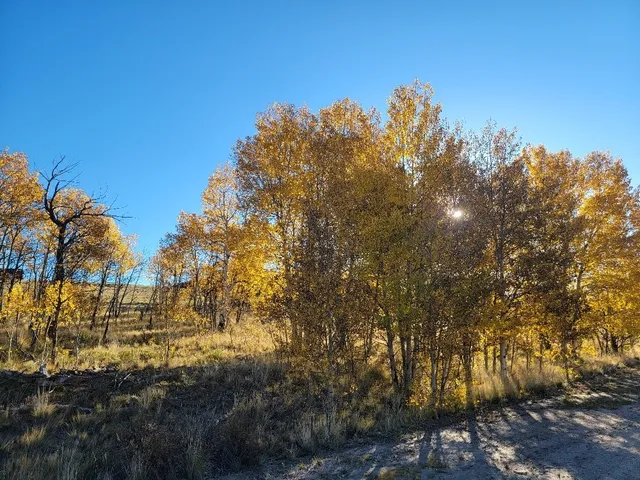 $40,000 | 287 Mustang Trail, Como, CO 80432