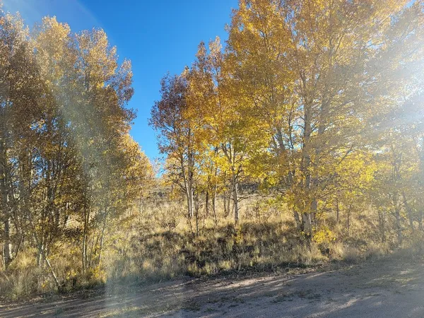 $40,000 | 287 Mustang Trail, Como, CO 80432