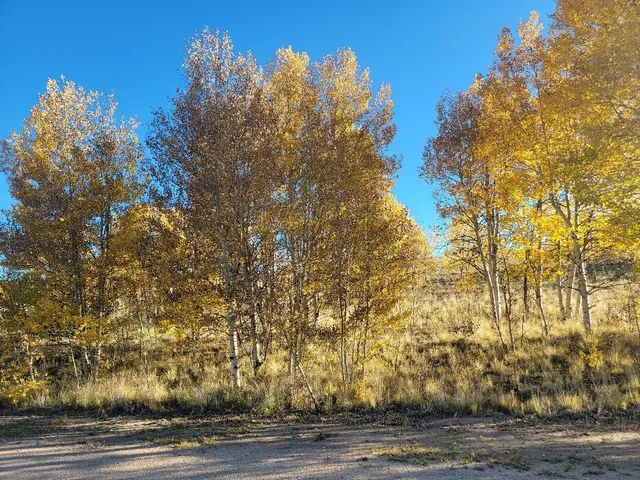 $40,000 | 287 Mustang Trail, Como, CO 80432