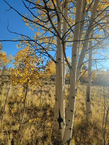 $40,000 | 287 Mustang Trail, Como, CO 80432