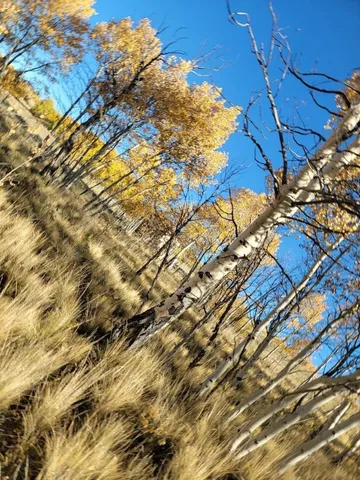 $40,000 | 287 Mustang Trail, Como, CO 80432