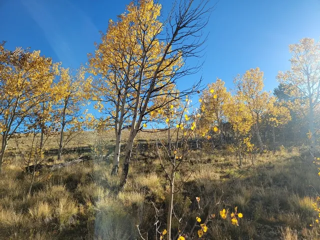 $40,000 | 287 Mustang Trail, Como, CO 80432