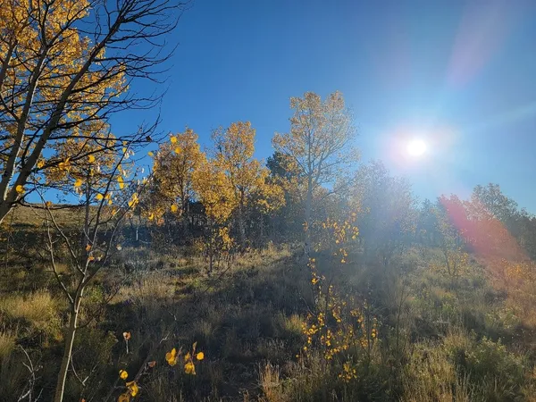 $40,000 | 287 Mustang Trail, Como, CO 80432