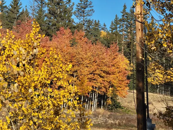 $40,000 | 287 Mustang Trail, Como, CO 80432