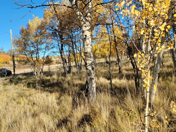 $40,000 | 287 Mustang Trail, Como, CO 80432