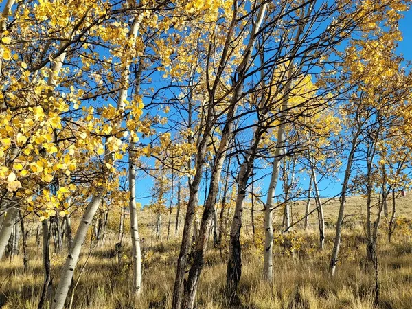 $40,000 | 287 Mustang Trail, Como, CO 80432