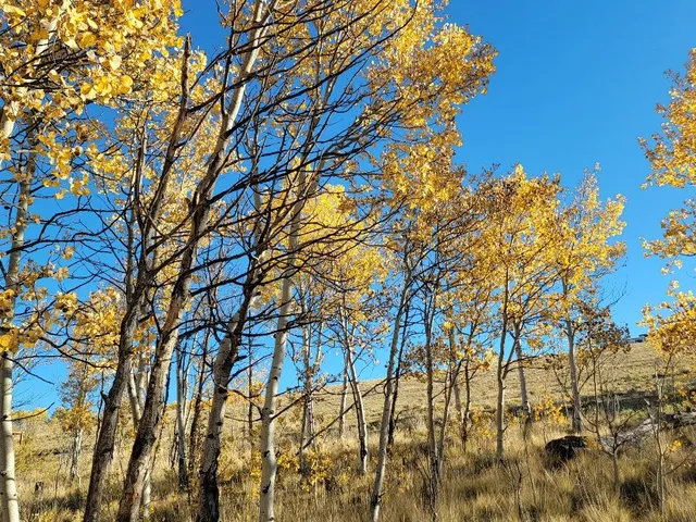 $40,000 | 287 Mustang Trail, Como, CO 80432