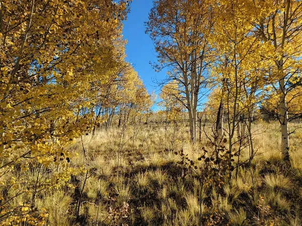 $40,000 | 287 Mustang Trail, Como, CO 80432