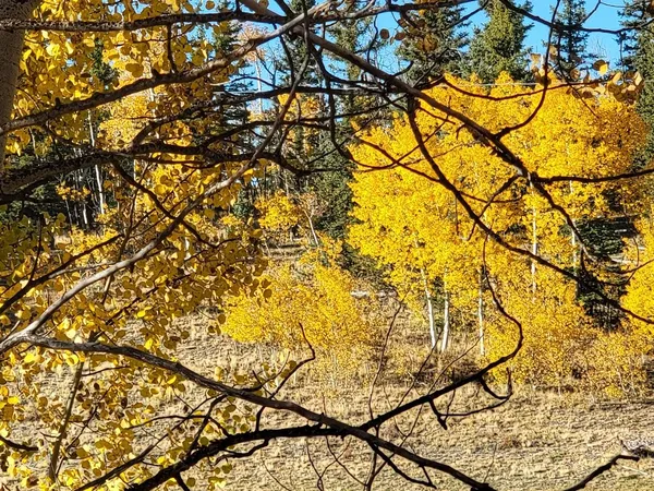 $40,000 | 287 Mustang Trail, Como, CO 80432