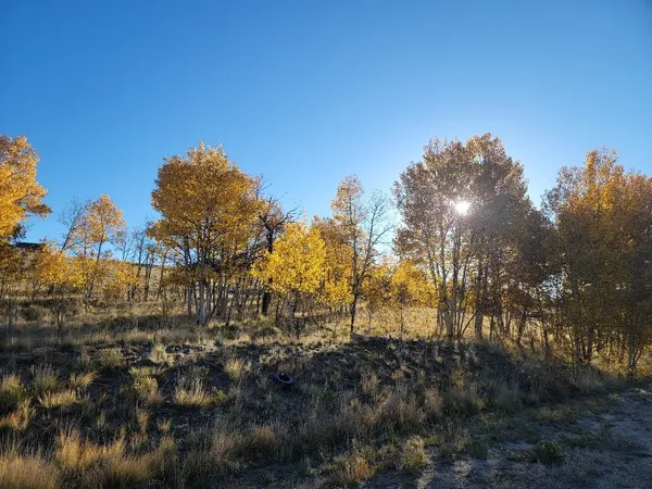 $40,000 | 287 Mustang Trail, Como, CO 80432