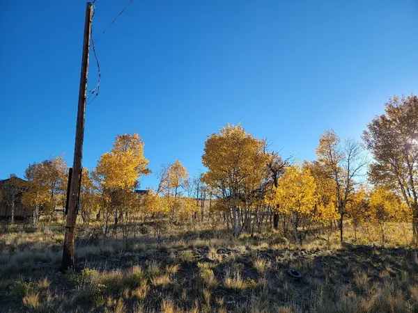 $40,000 | 287 Mustang Trail, Como, CO 80432