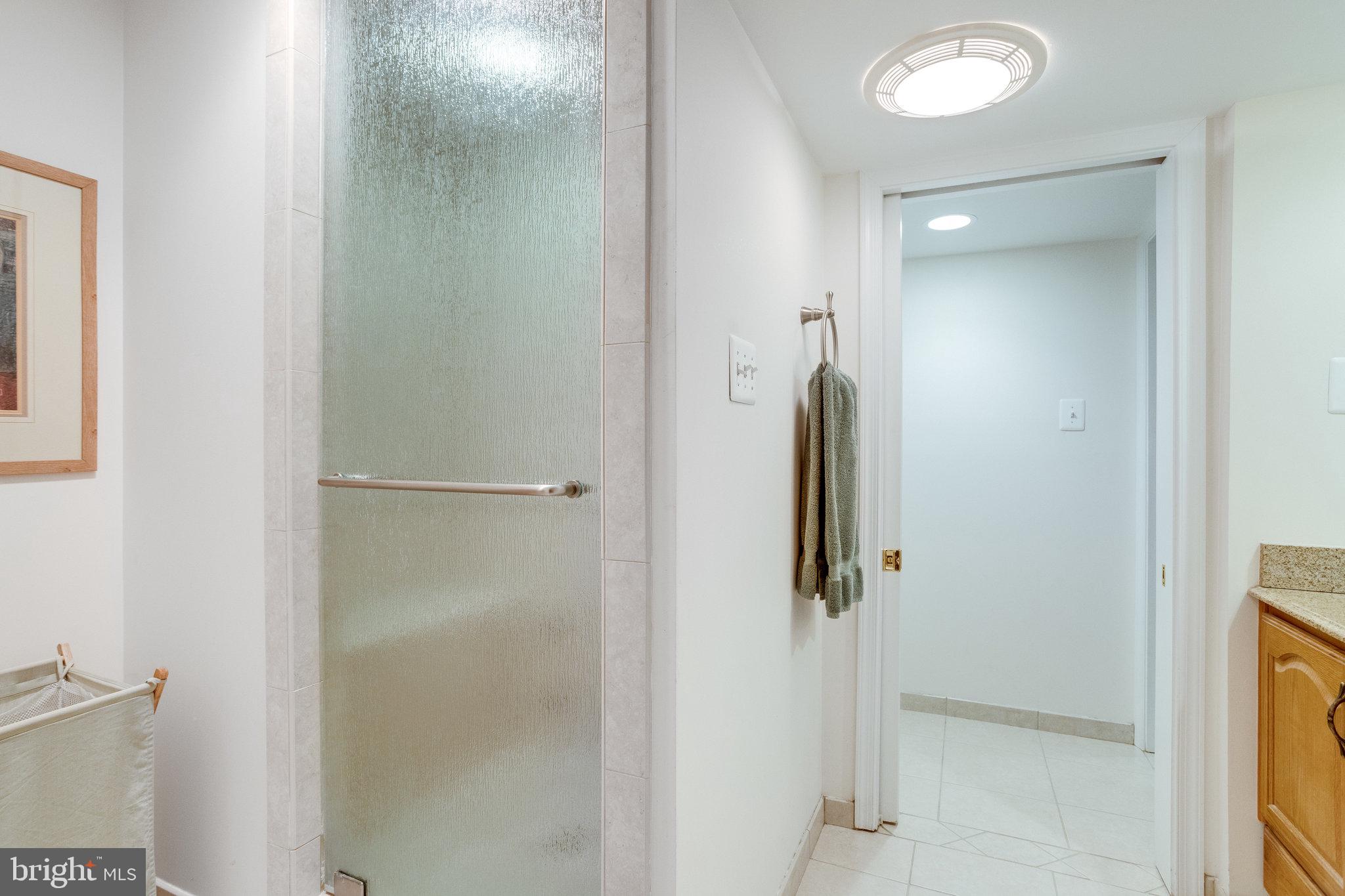 9706 Hidden Valley Road Vienna, VA 22181 - Photo 52 of 62 Lower Level Full Bath w/Steam Shower