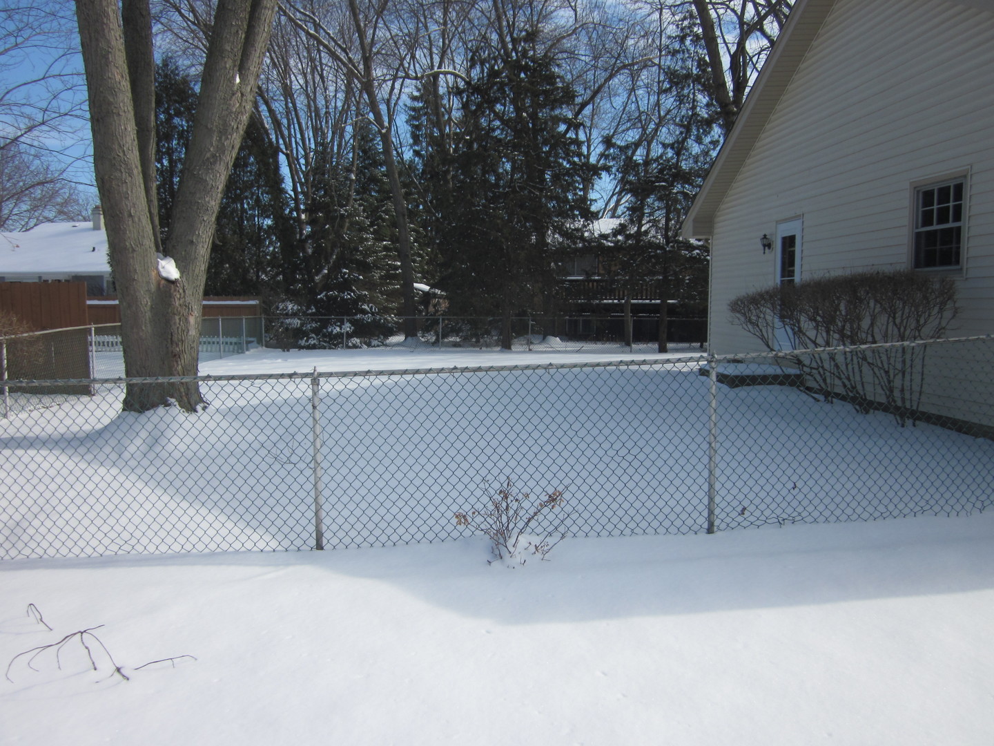 511 Northgate Road Lindenhurst, IL 60046 - Photo 18 of 19 a view of backyard and tree