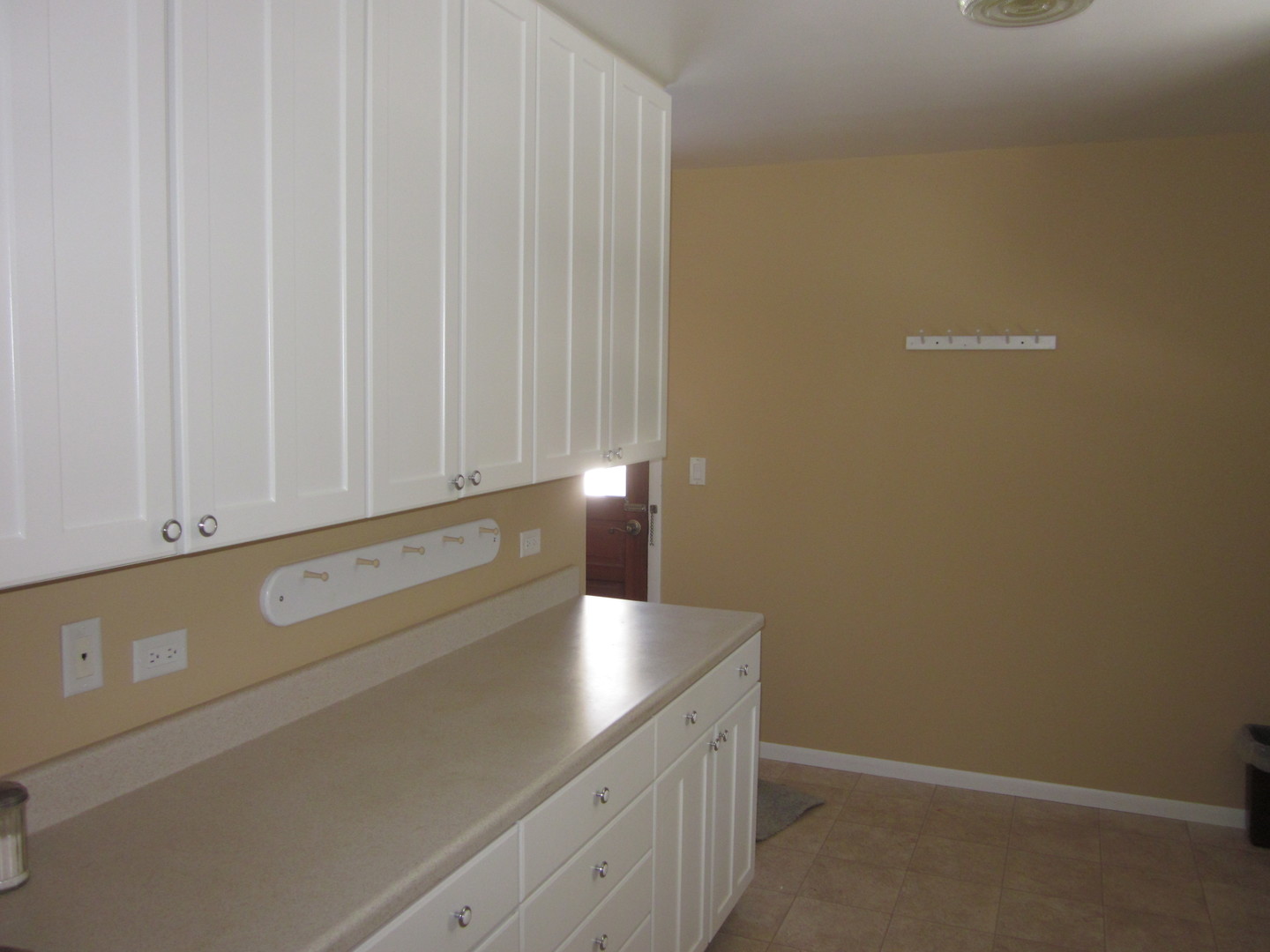 511 Northgate Road Lindenhurst, IL 60046 - Photo 10 of 19