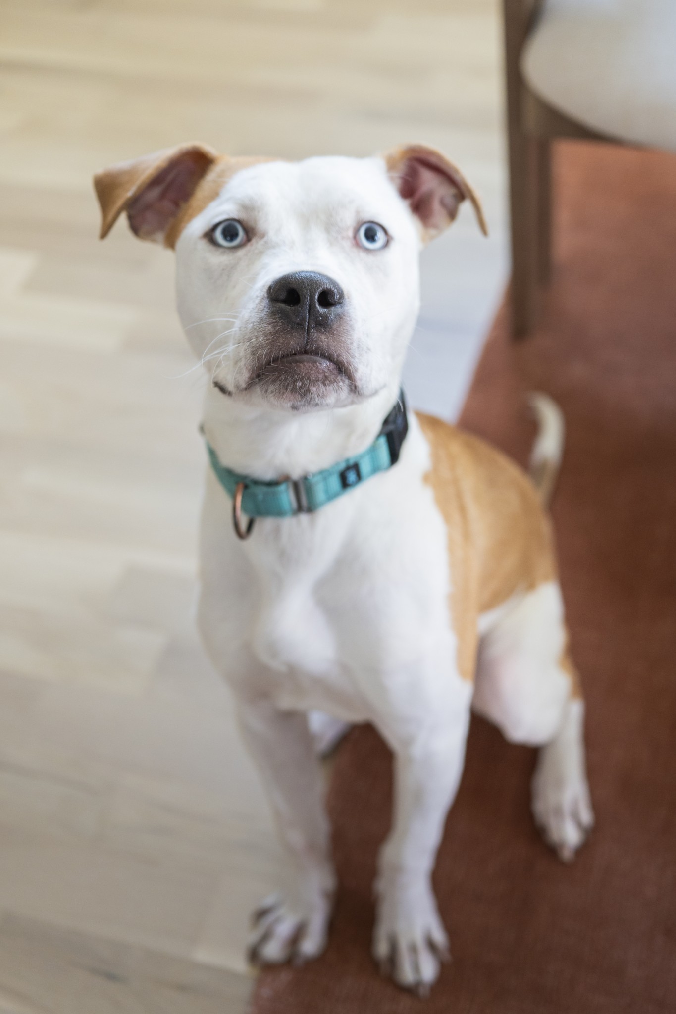 1037 Mitchell Road, Unit B Nashville, TN 37206 - Photo 23 of 51 a bathroom with a sink and mirror