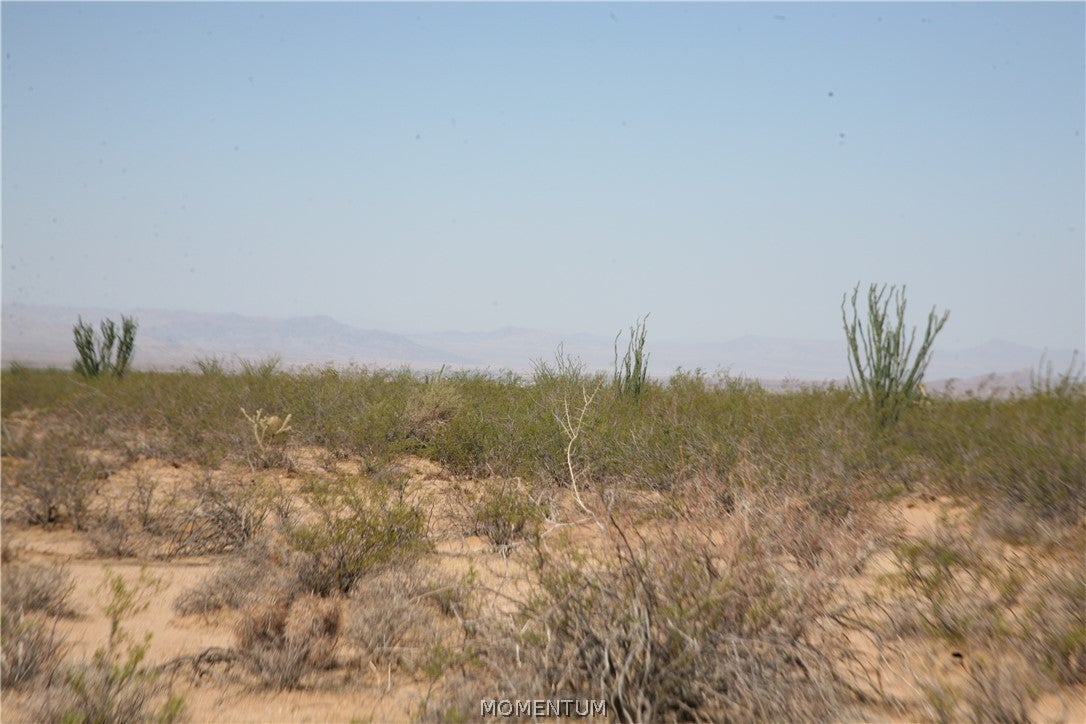 243-15-016 South Custer Road, Unit 3491 Yucca, AZ 86438 - Photo 26 of 61 Gallery Image 26