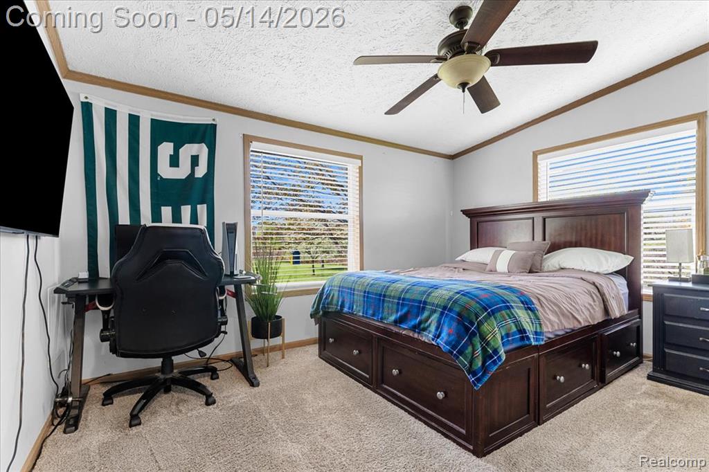 7935 Ravenswood Road Goodells, MI 48027 - Photo 20 of 29