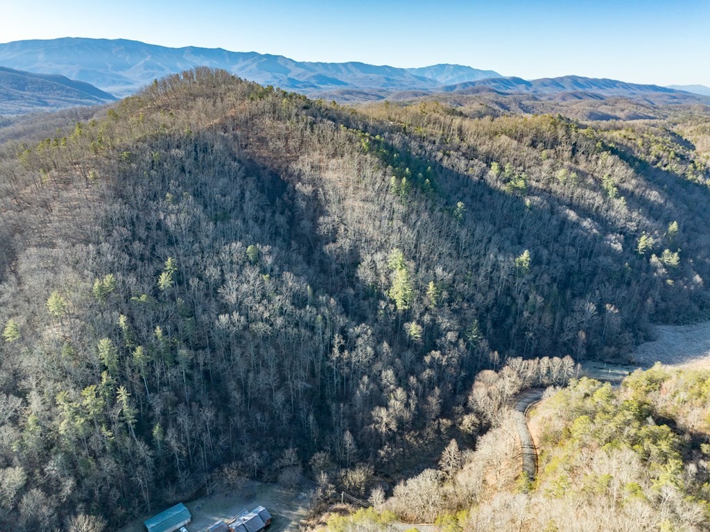 0 Middle Creek Road Cosby, TN 37722 - Photo 22 of 30