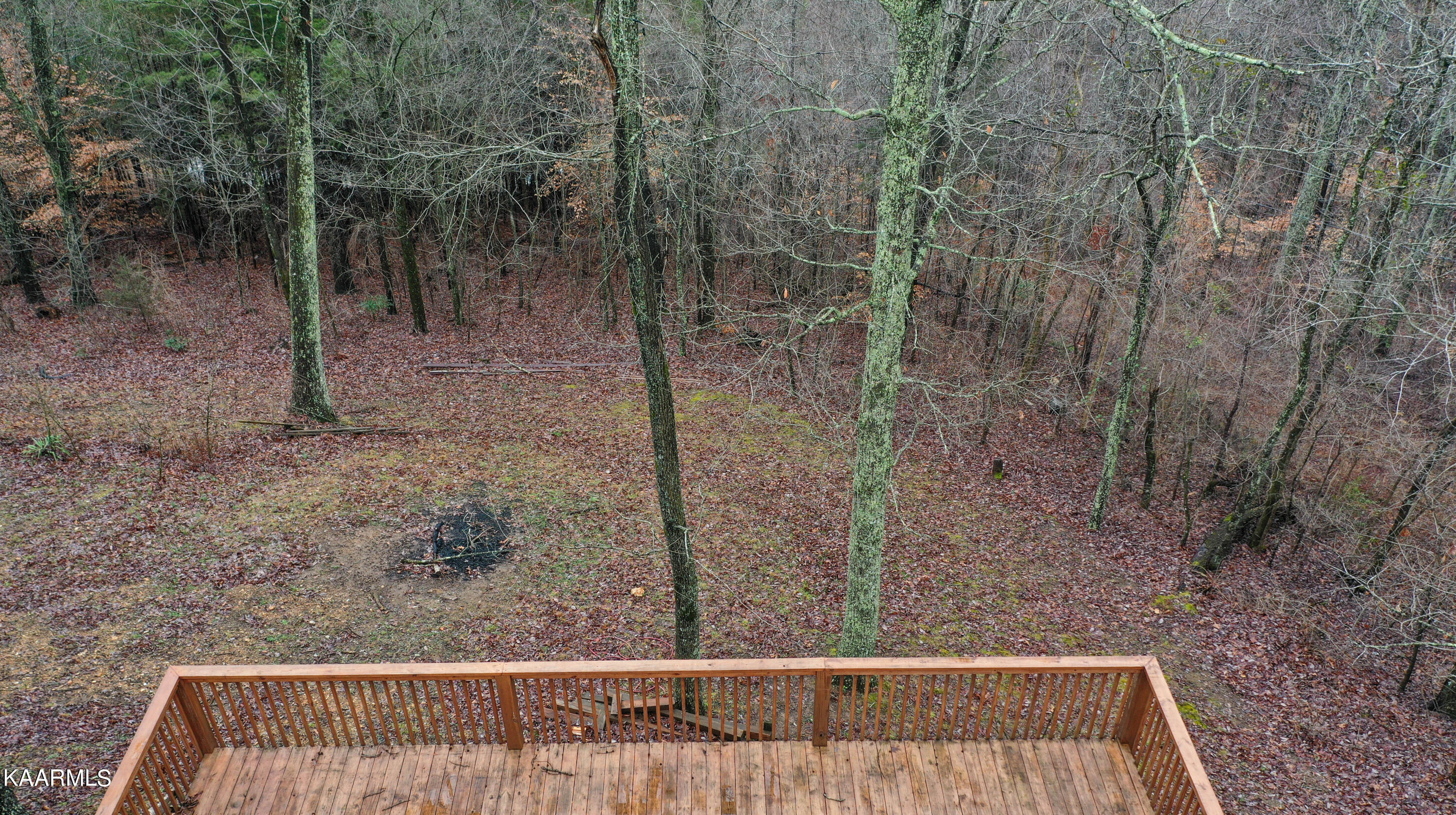 816 Stephens Road Rocky Top, TN 37769 - Photo 4 of 23 DJI_0175-2