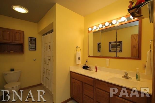 25982 Longview Road Hopedale, IL 61747 - Photo 21 of 30 a bathroom with a sink and a mirror