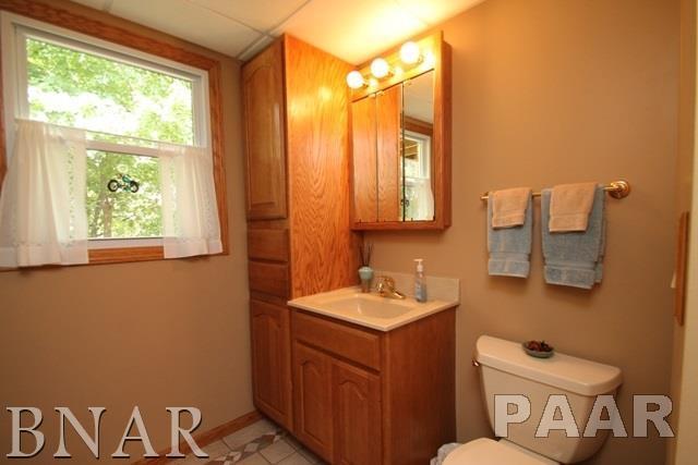 25982 Longview Road Hopedale, IL 61747 - Photo 26 of 30 a bathroom with a toilet sink and mirror