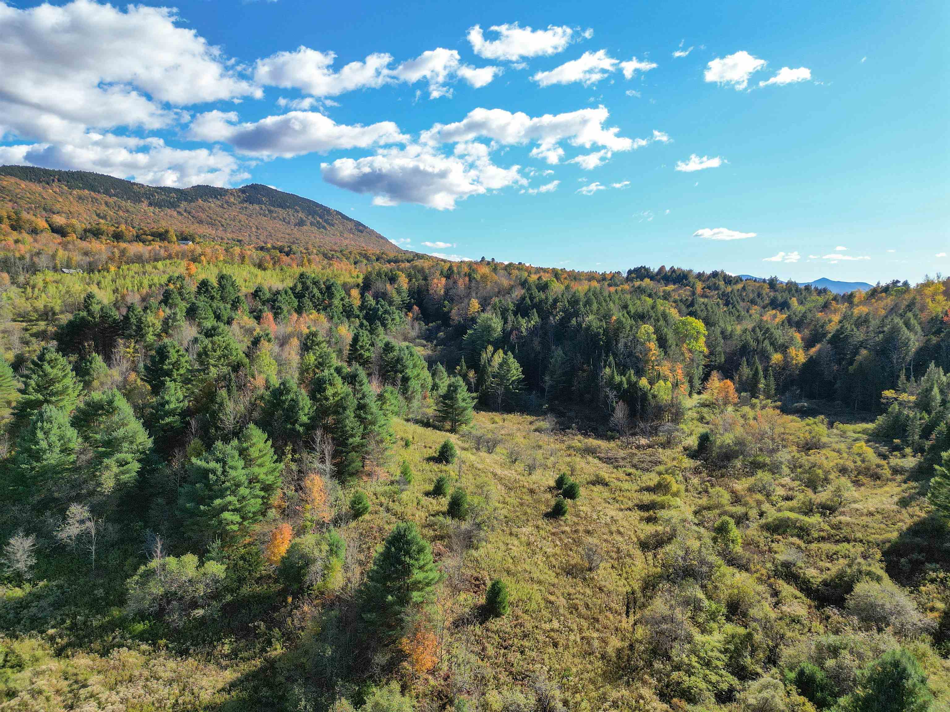 Lot 0 Darling Road Morristown, VT 05661 - Photo 7 of 10