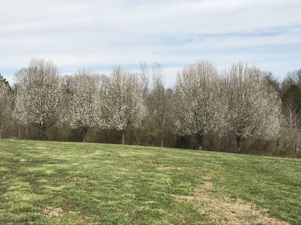9849 Finney Road Glasgow, KY 42141 - Photo 30 of 30 Gallery Image 30
