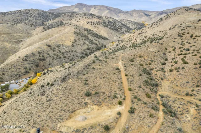 a close up of a field